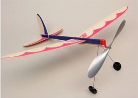 American Junior Hornet